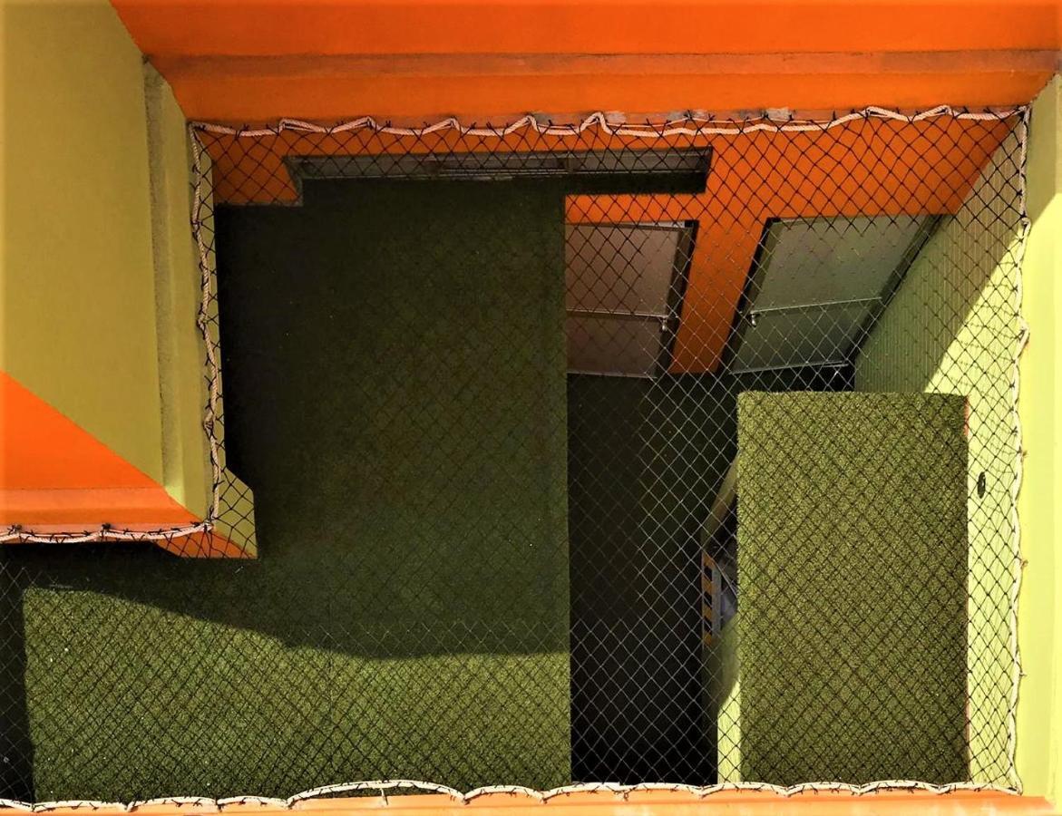 Happy Tree Hostel Peru リマ エクステリア 写真